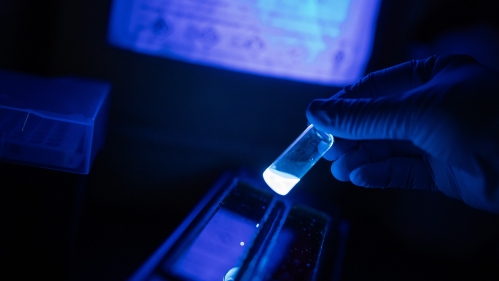 An engineering student holding photochemical reaction in blue glass vials in an engineering laboratory. 