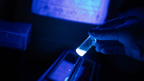 An engineering student holding photochemical reaction in blue glass vials in an engineering laboratory.